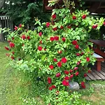 U Adama Grajoka Séjour chez l'habitant Szczawnica