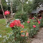 U Adama Grajoka *