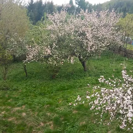 U Adama Grajoka Ubytování v soukromí Szczawnica