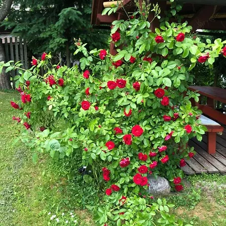 U Adama Grajoka 民宿 什恰夫尼察