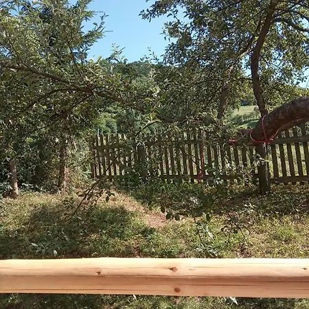 U Adama Grajoka