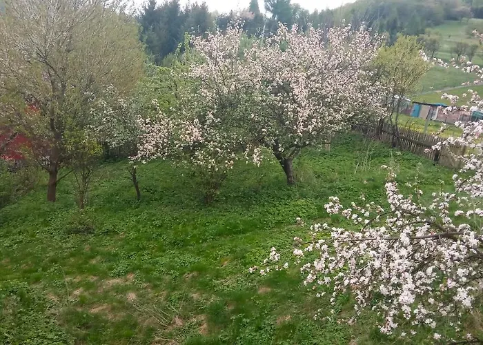 U Adama Grajoka בית אירוח שצ'בניצה